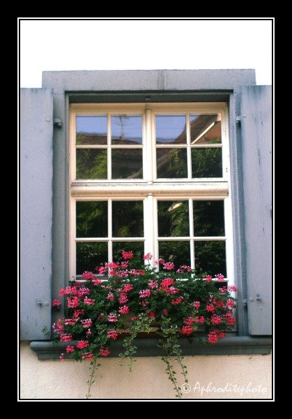 06 Typisches Fenster in der Altstadt